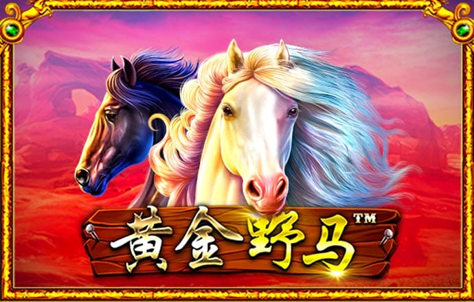 加拿大预测黑马