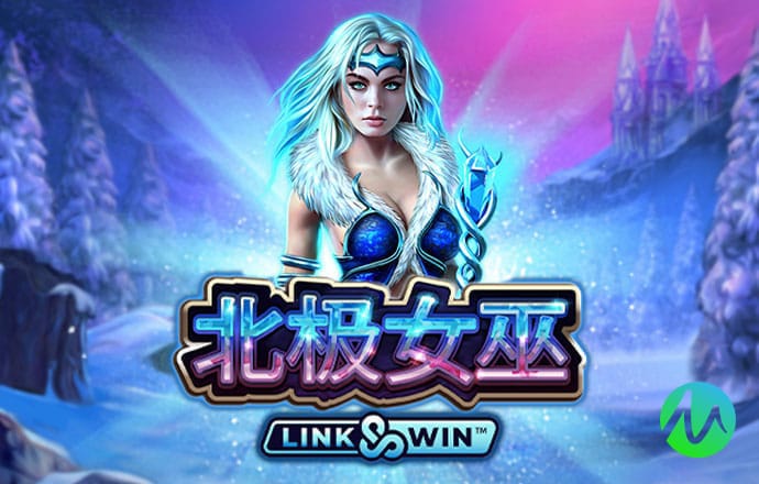 加拿大组合2.8在线测试